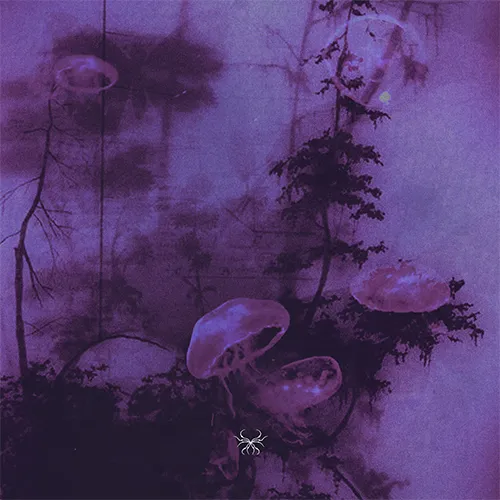 SAMPLE PACK II